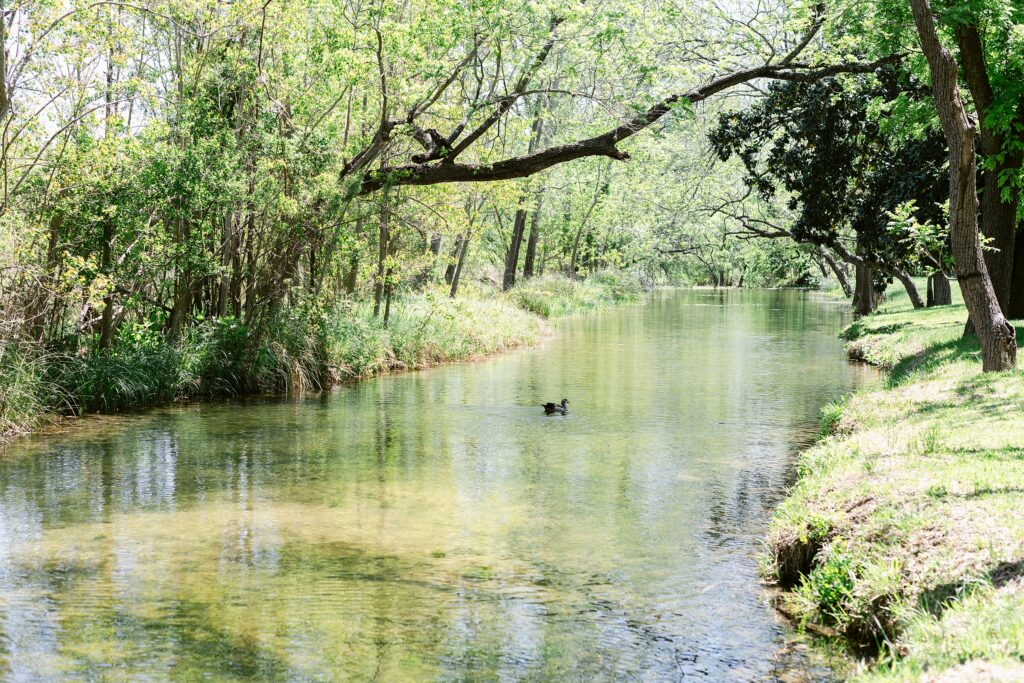 Cypress Creek at the Messina Inn in Wimberley, Texas
