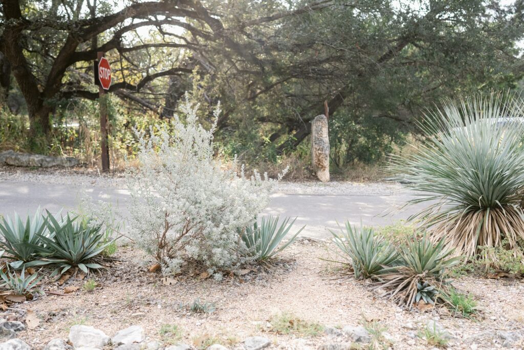 Walking trail in Wimberley Texas